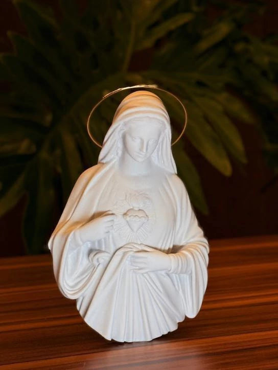Imagem Parede Sagrado Coração De Maria 20 cm