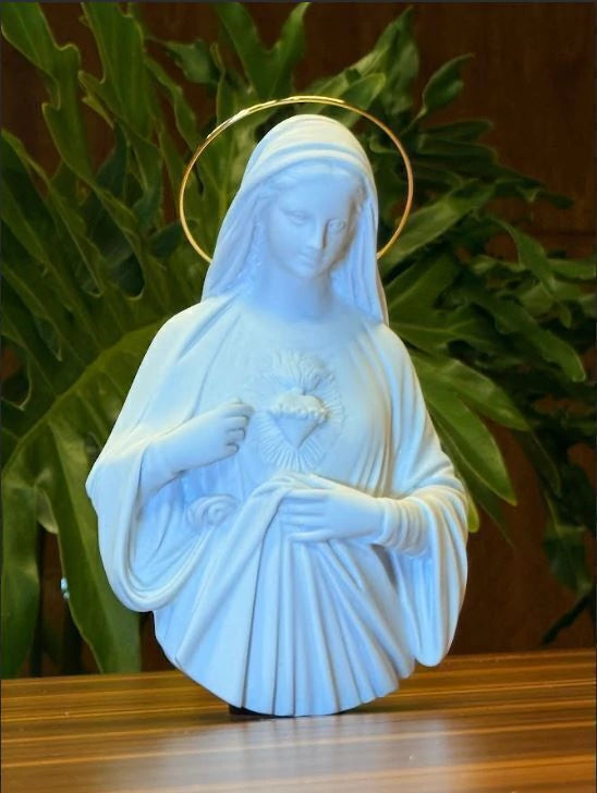 Imagem Parede Sagrado Coração De Maria 20 cm